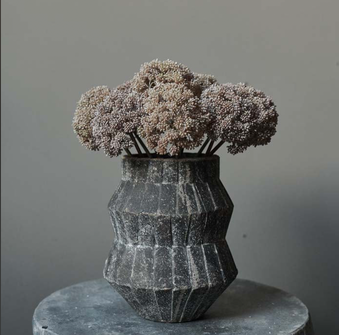 Sedum kvist 34 cm, grå / beige